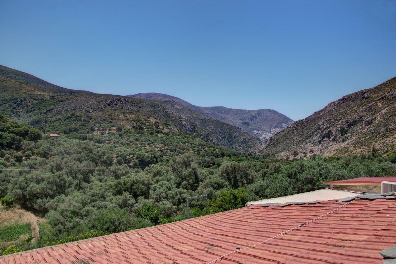 Traditional Cretan Country house *